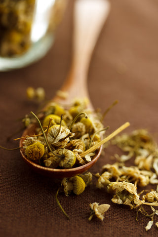Image of a spoonful of dried chamomile flowers