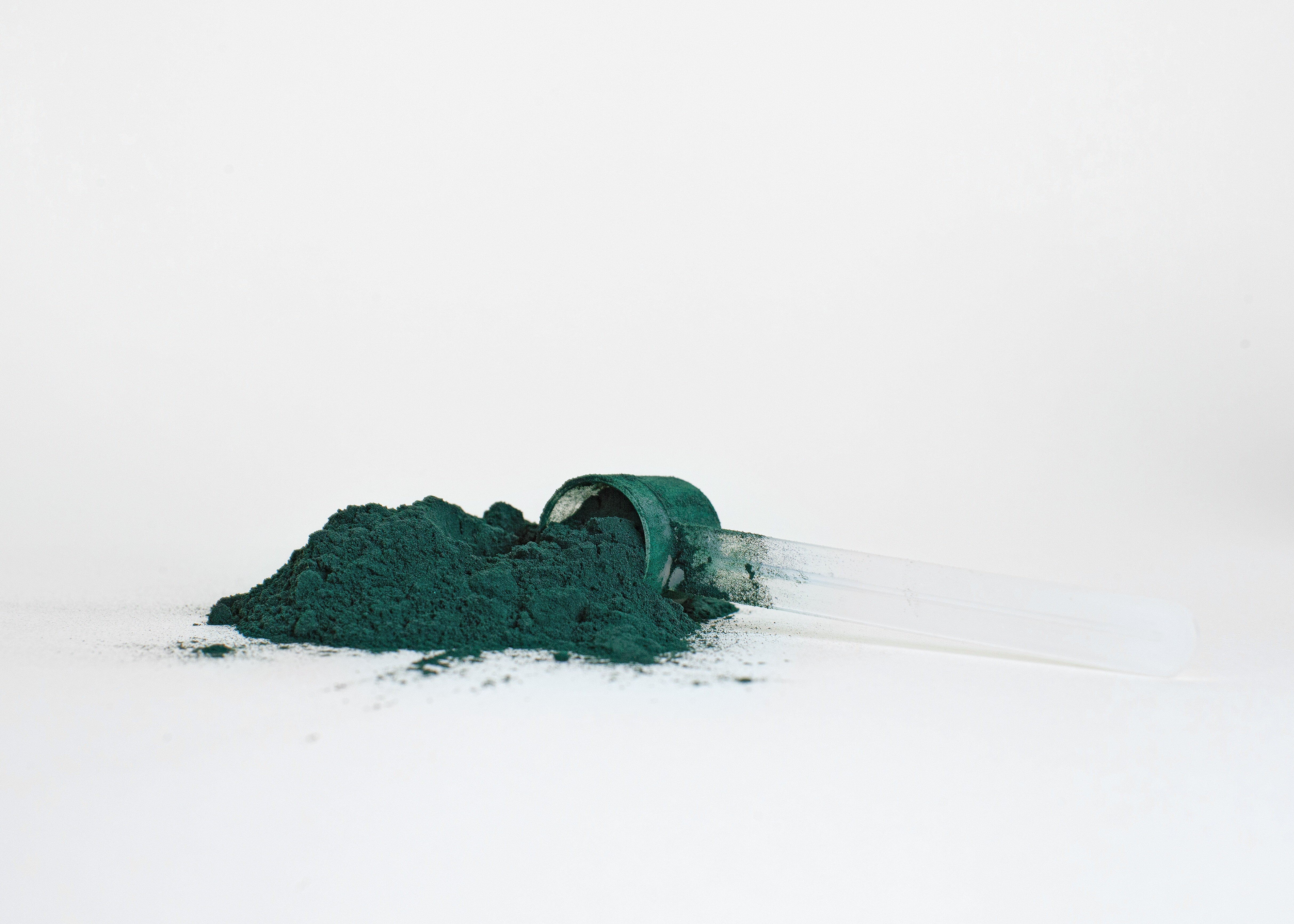 Spirulina powder on white background