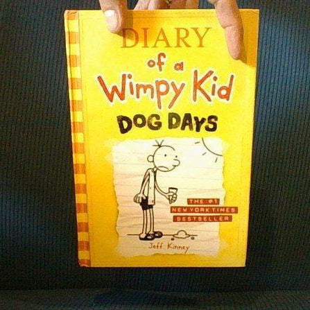 Diary of a Wimpy Kid Dog Days -Gift Present Box, Handmade Diversion Sa ...