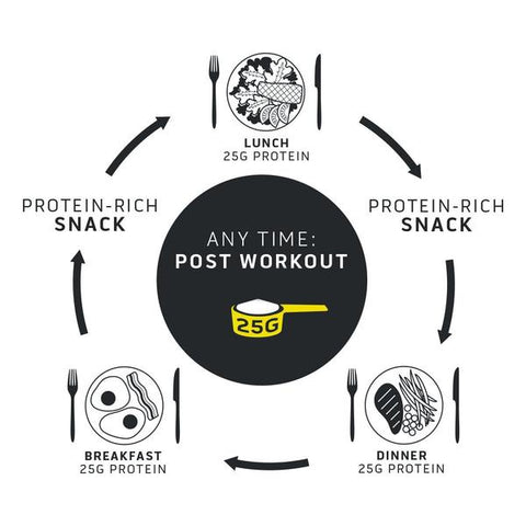 Spacing your protein intake