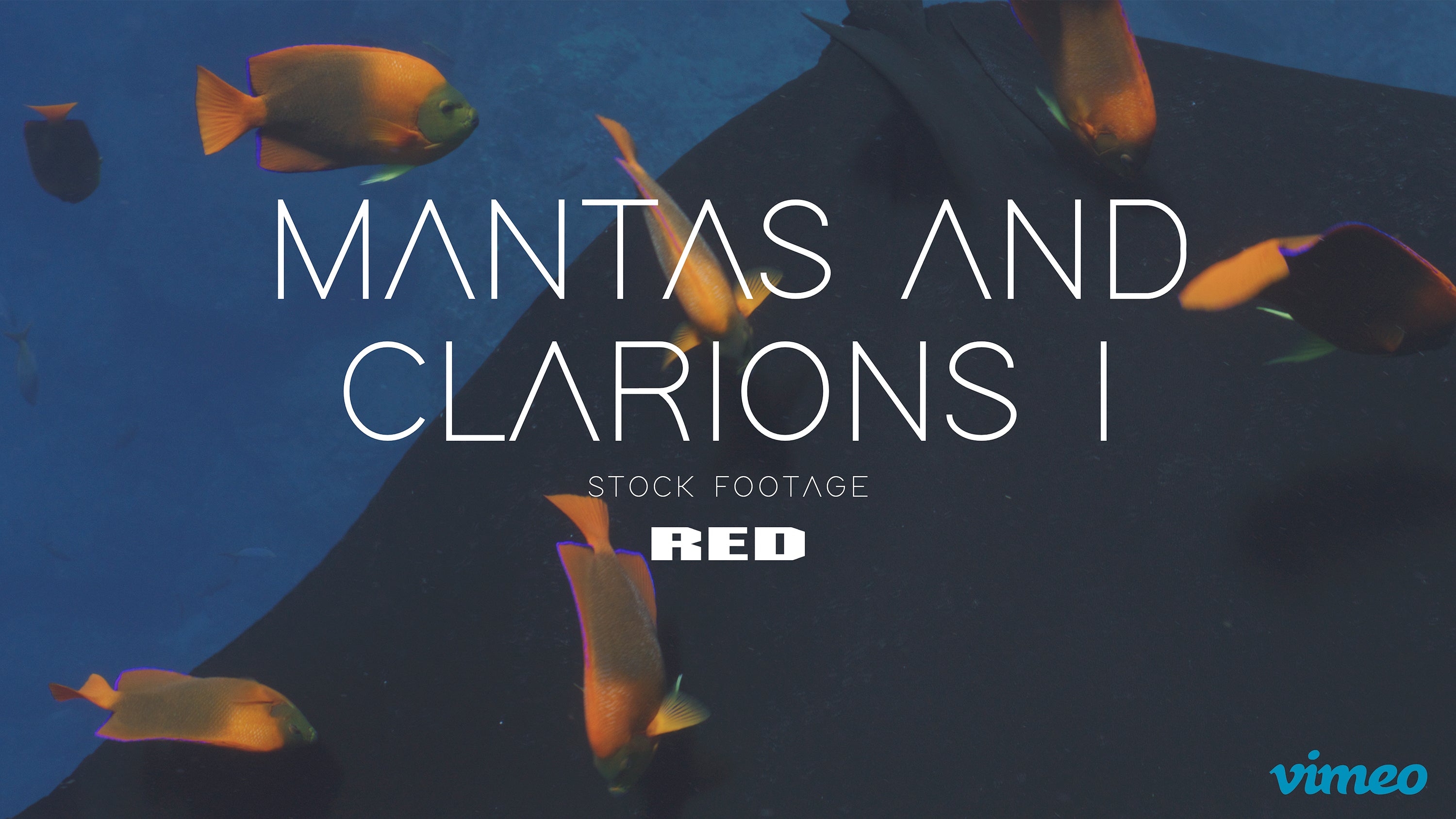 Mantas and clarions I