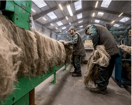 Linen processing - Flax fibres