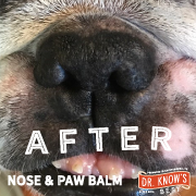 Dr. Know's BEST CBD Noes& Paw Balm After