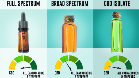 full broad spectrum isolate CBD differences