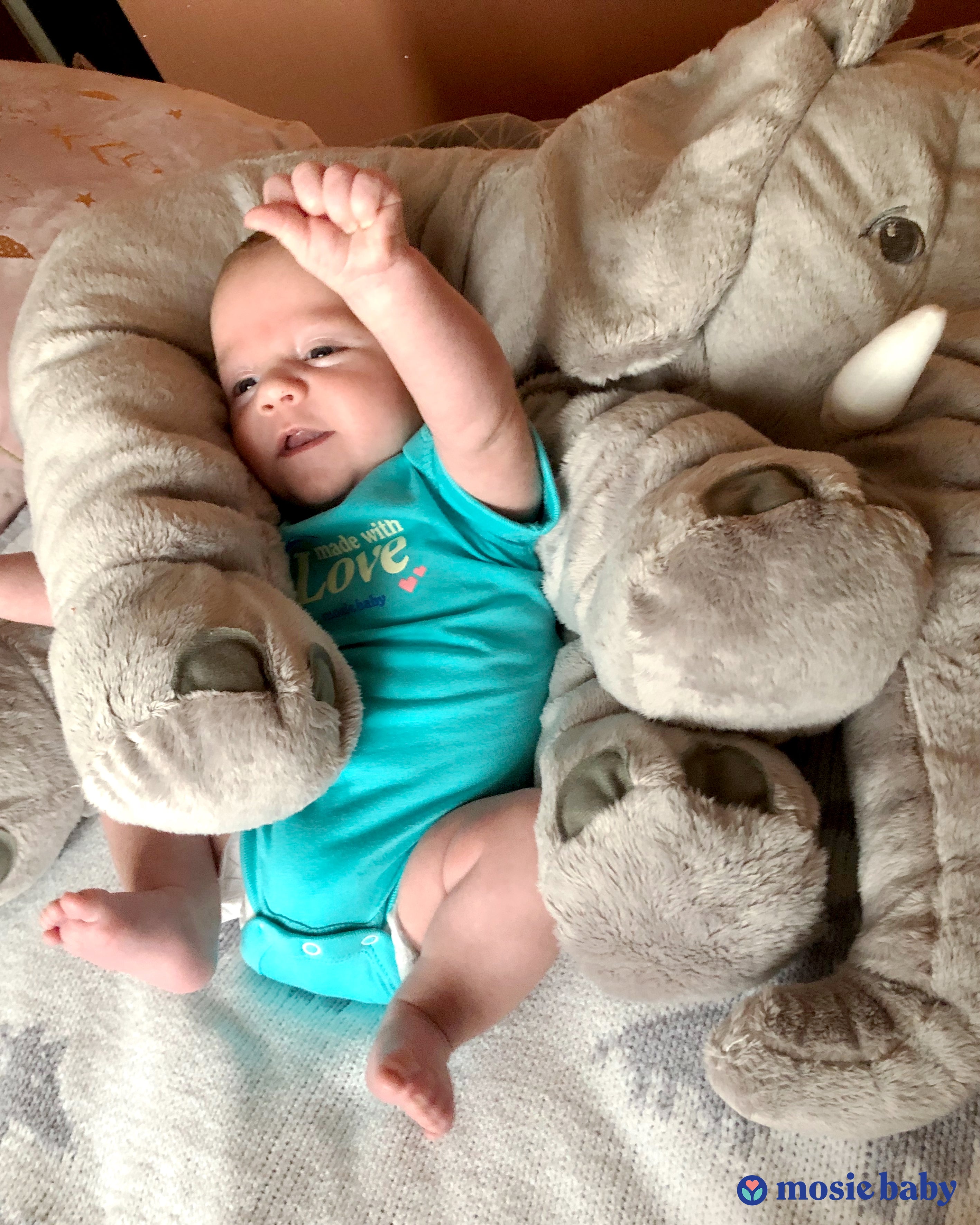 Cute Mosie baby cuddling an elephant stuffed animal