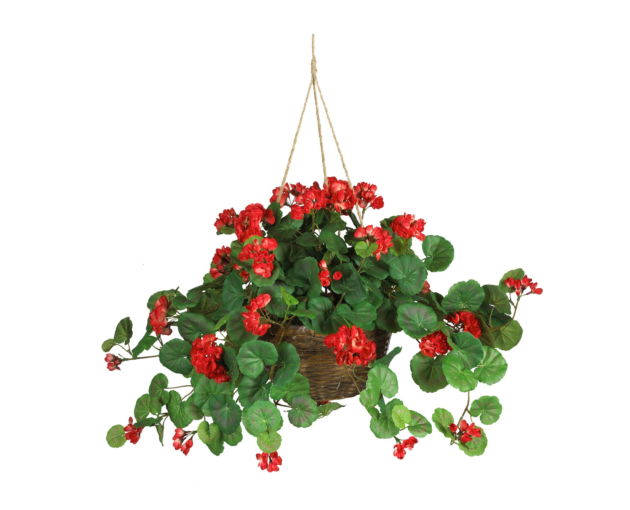 Red hanging plants Idea