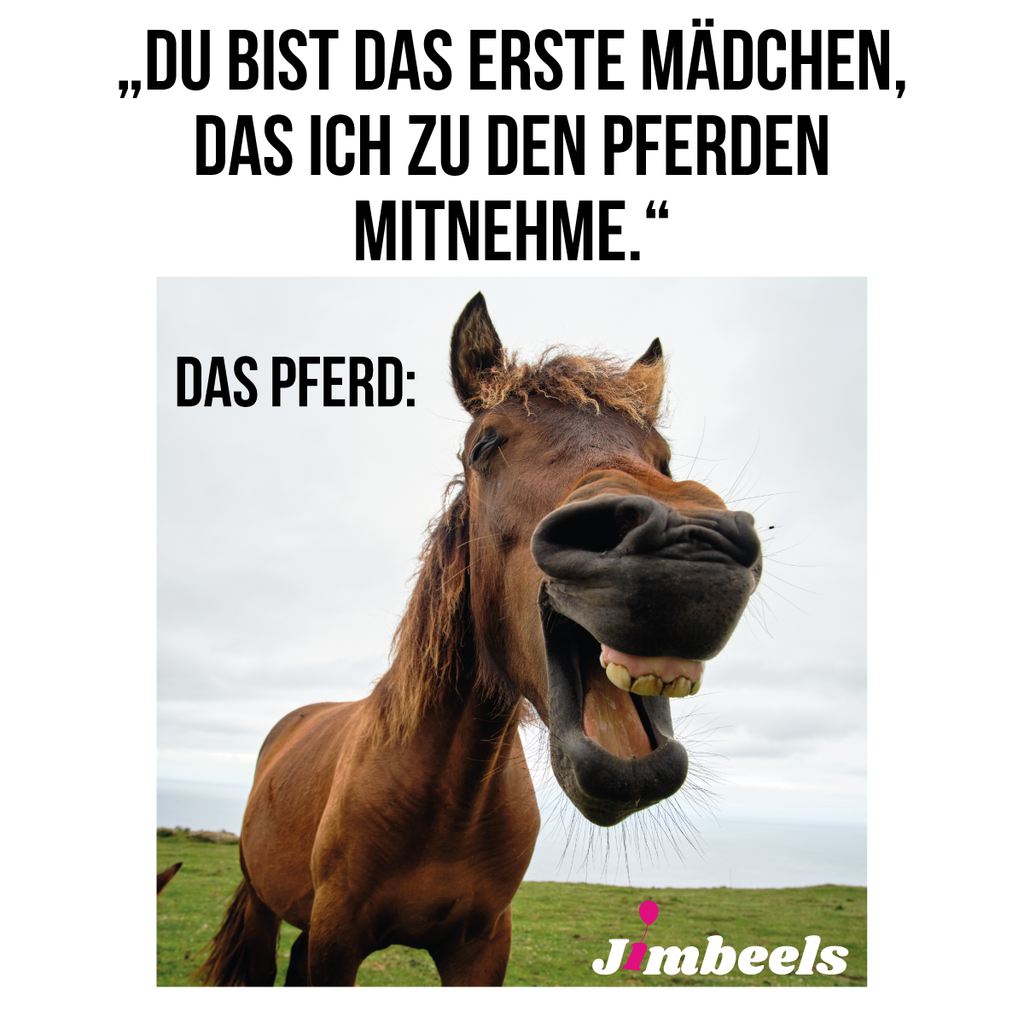 Zeigt ein lachendes Pferd und einen lustigen Beziehungsspruch