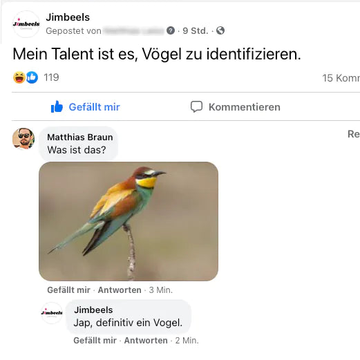 flachwitz-meme-voegel-identifizieren