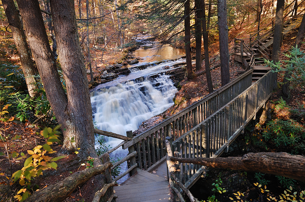 Embracing Nature's Symphony: The Enchanting Beauty of Bushkill Falls