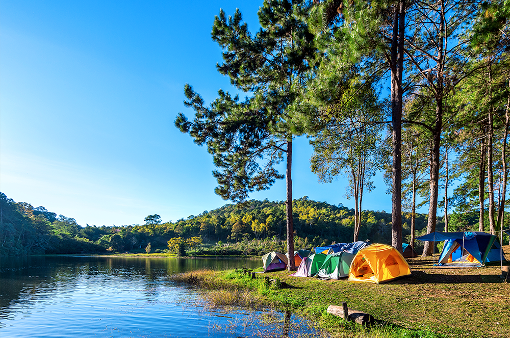 What Makes Camping Addictive?