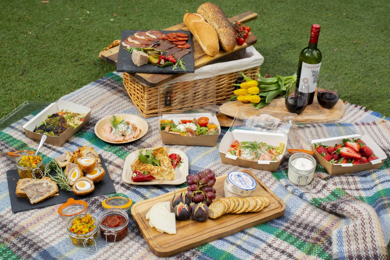 Best Tips for Having a Picnic