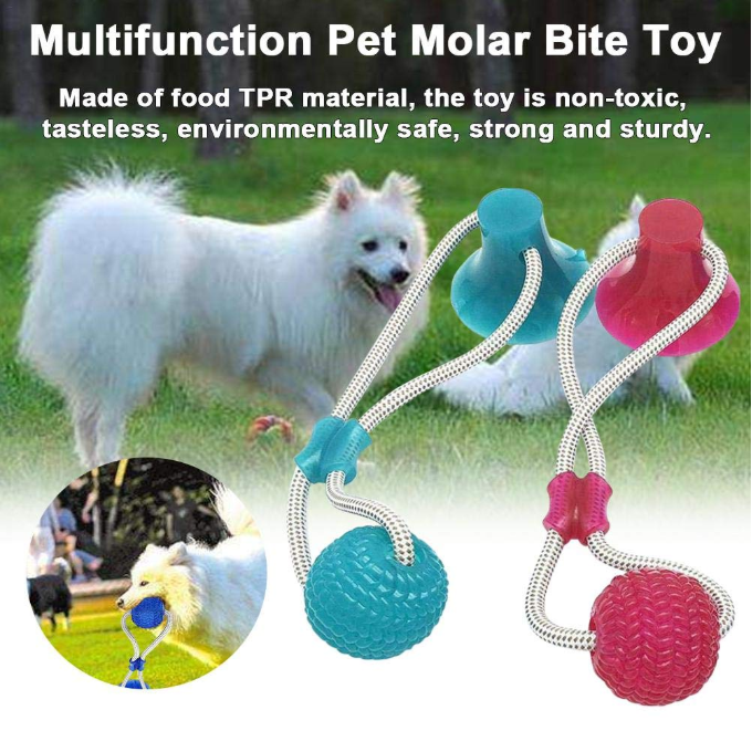 pet molar bite toy