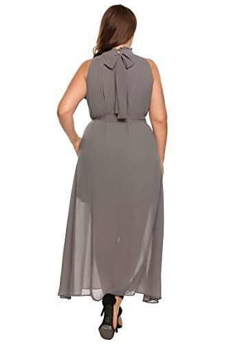 Zeagoo Womens Plus Size  Chiffon Sleeveless Maxi Formal  