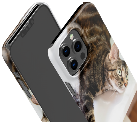Custom iPhone case_pet cat