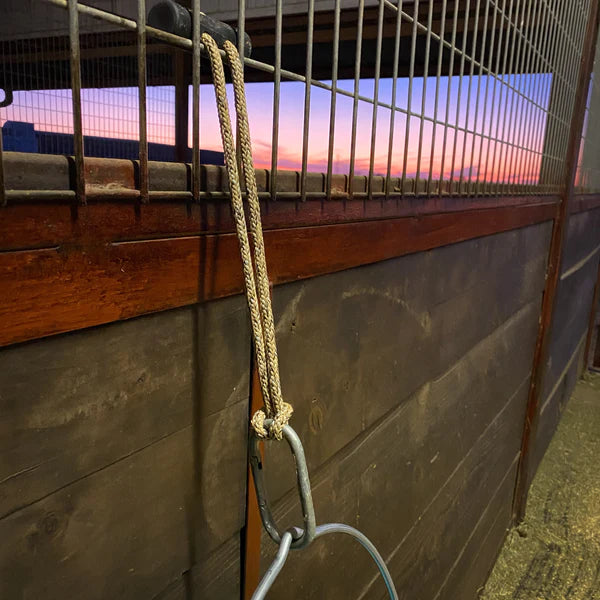 Bucket Strap by Hay Chix - 5 colors available