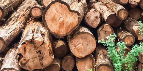 sheesham wood vs teak wood,sheesham wood vs teak wood which is better,sheesham wood vs teak wood bed,Difference between sheesham wood vs teak wood,advantages and disadvantages of sheesham wood,advantages and disadvantages of teak wood,Which wood is better for home furniture?,Is sheesham wood expensive than teak?,Is Sheesham wood strong?,Which wood is better teak or sheesham?,Is sheesham wood and teak wood same?,Which is No 1 wood for furniture?,Which wood is termite proof?,How long does Sheesham wood last?,What is the weakest wood for furniture?