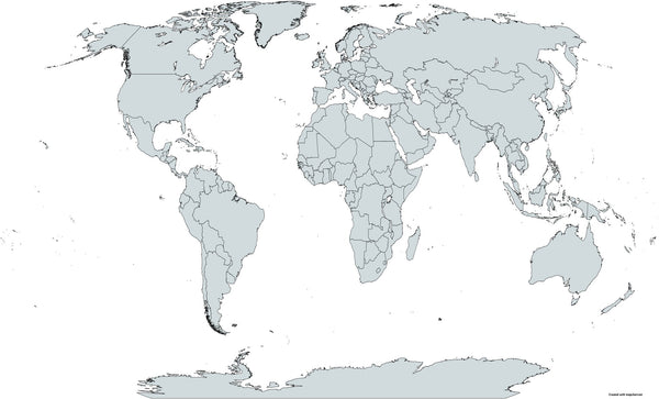 Carte du monde projection Robinson