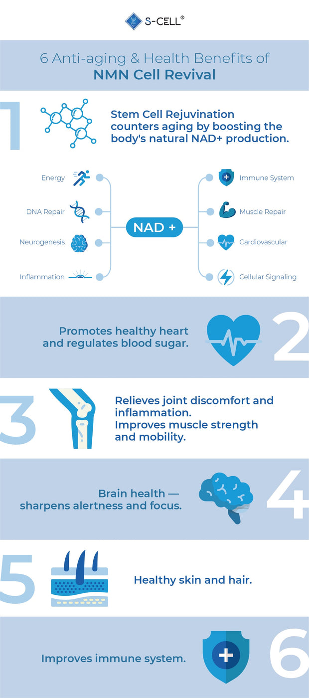 benefits-of-nmn