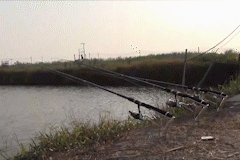 AutoMat™ Fishing Rod Holder – Sparbi
