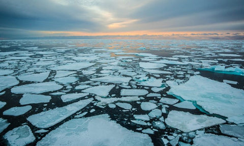 arctic ice sea level