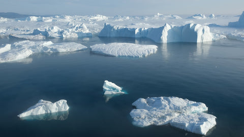arctic ice melting