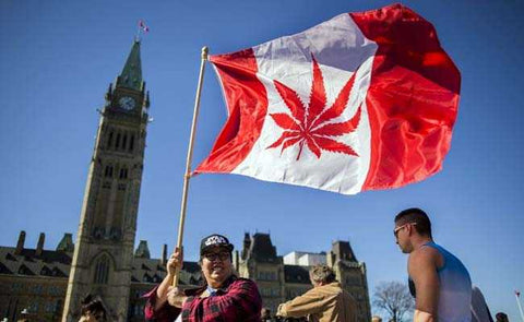 canada legalizes marijuana