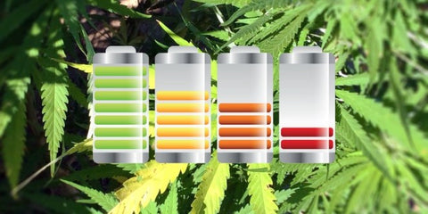 hemp batteries