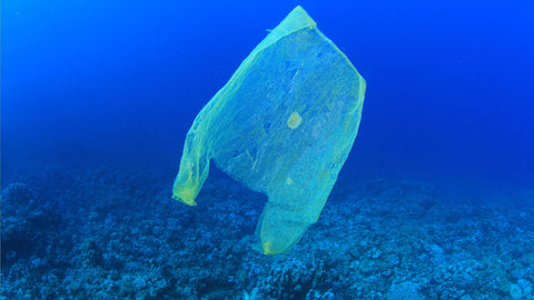 plastic bag new zealand