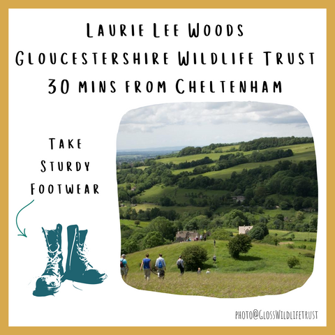 gloucestershire cotswolds dog friendly walks