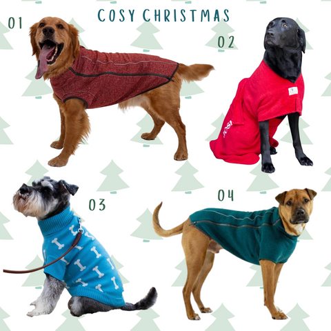 dog jumpers and fleeces