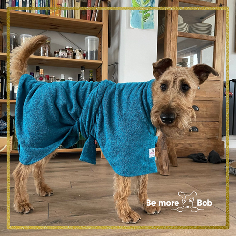 pebble irish terrier dog robe