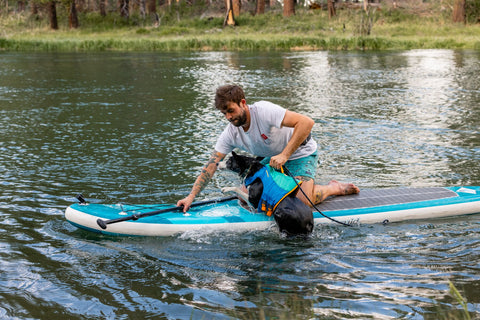 Ruffwear float coat, man lifting dog on to paddleboard using handle 