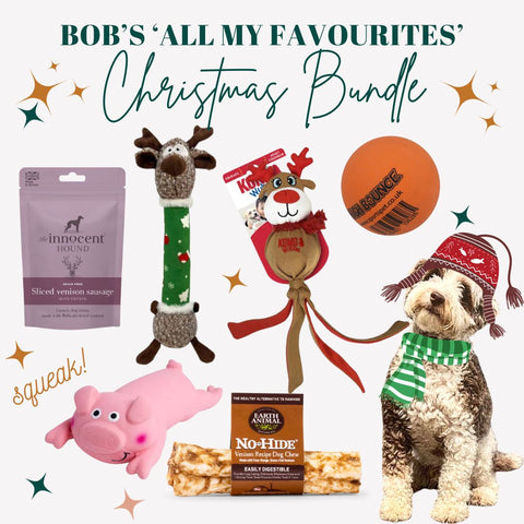 christmas dog toys treats