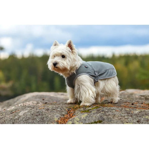 rukka dog cooling vest