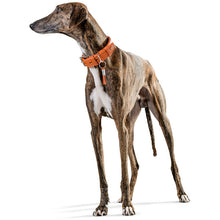 Load image into Gallery viewer, Hunter &#39;Cannes&#39; Leather Collar - Orange