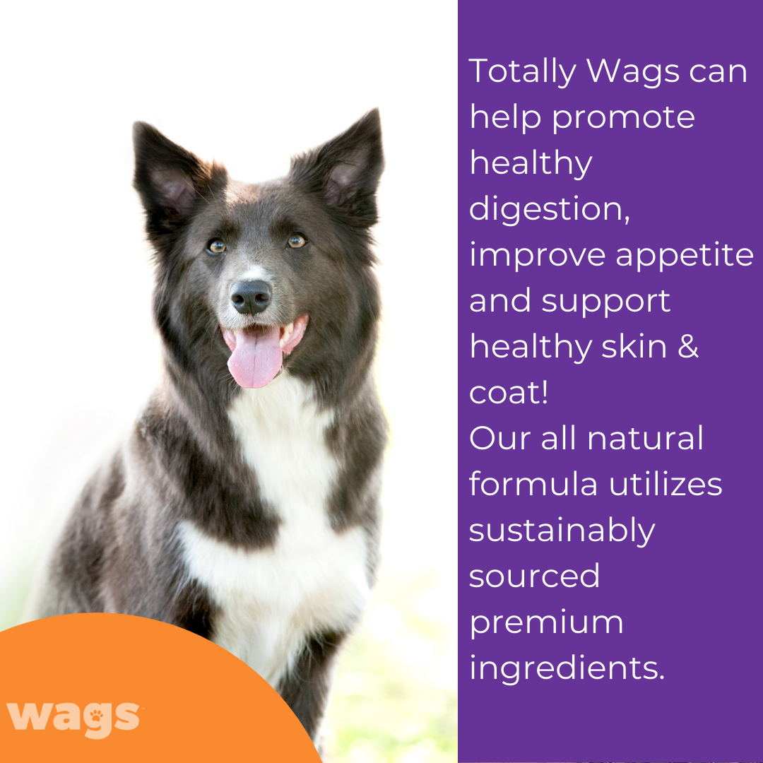 Totally Wags is packed with protein for your pup. 