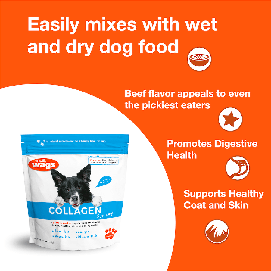 Collagen for Dogs: Promotes Healthy Joints, Skin and Coat, 8.8 oz ...