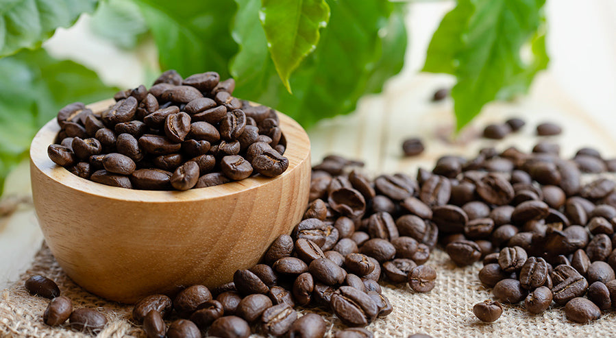A Bowl of Coffee Beans