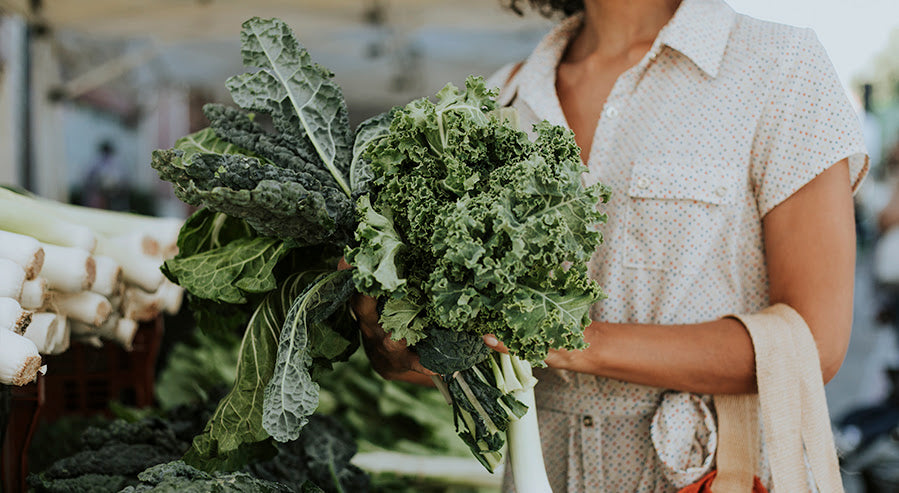 A Person Holding Kale Leaves