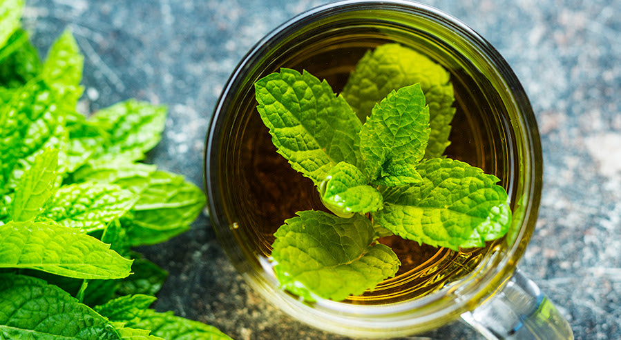 Antioxidant-Rich Peppermint Tea