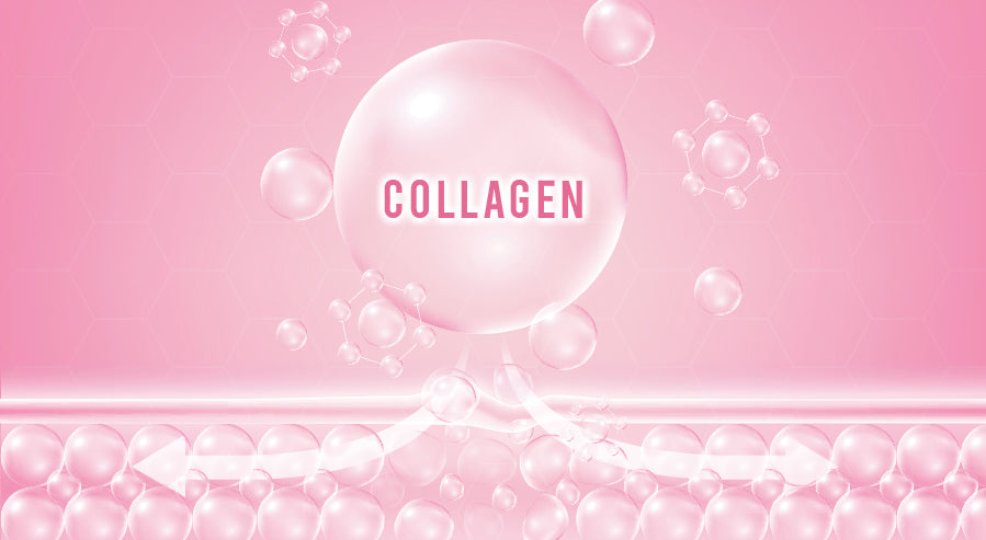Collagen Protein Molecule