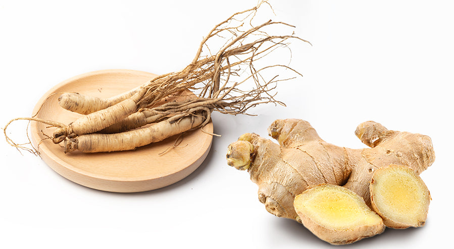 Ginseng and Ginger Root