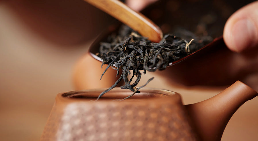 Making Lapsang Souchong Tea