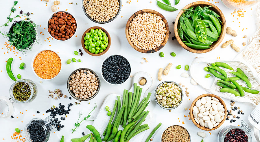 7 Benefits of Plant Protein and Why It's Good For You