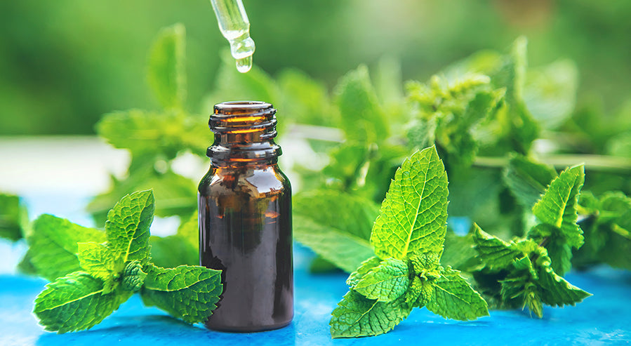 Peppermint Oil