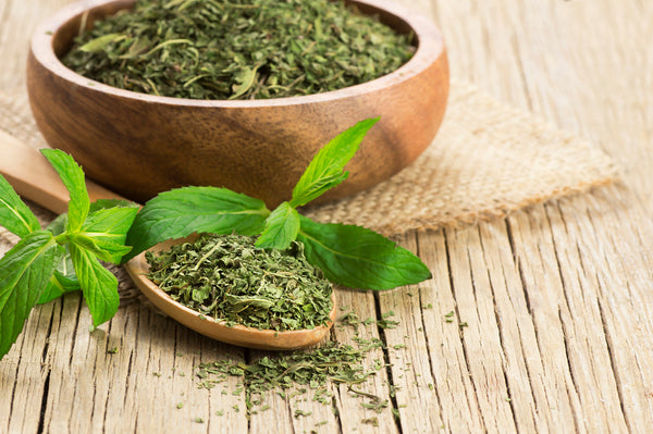 Fresh and dried peppermint leaves