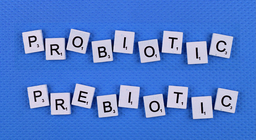 Probiotic vs Prebiotic