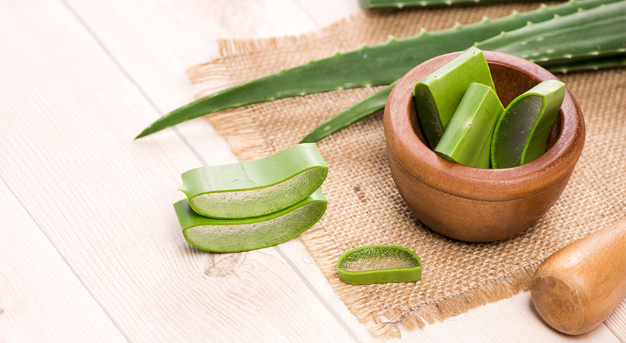 Sliced Aloe Vera Leaves