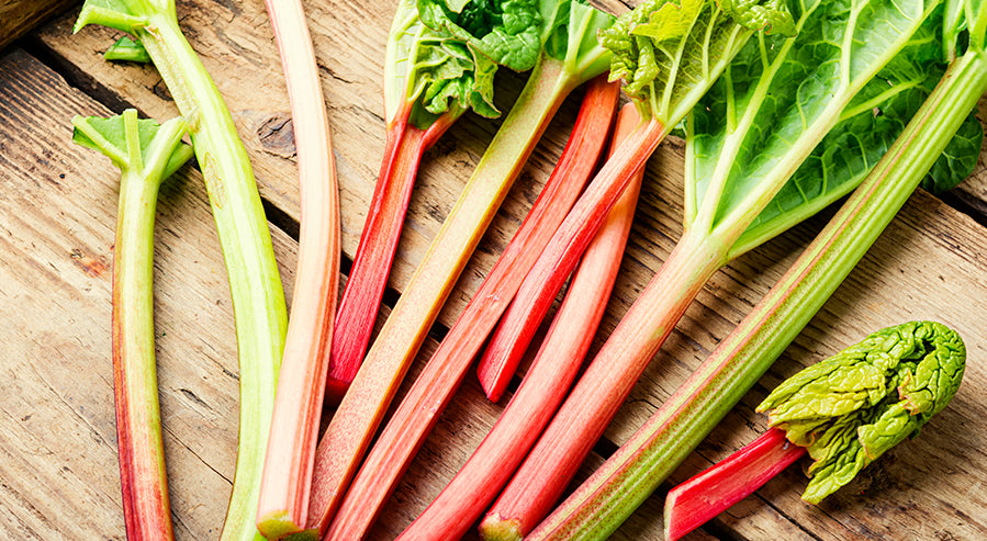 Stalks of Rhubarb