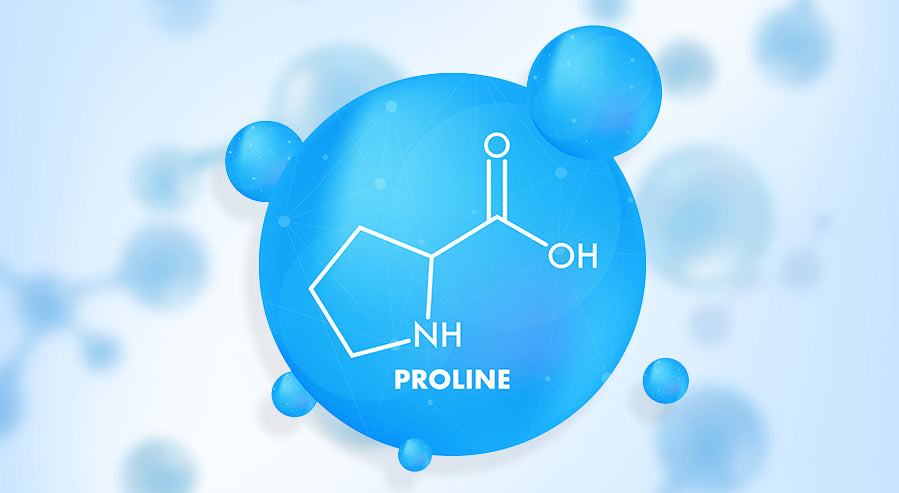 What is Proline